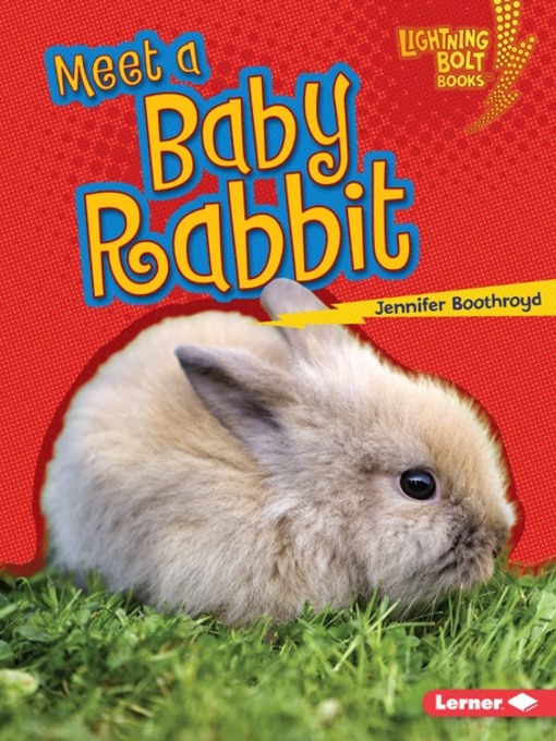 Title details for Meet a Baby Rabbit by Jennifer Boothroyd - Wait list